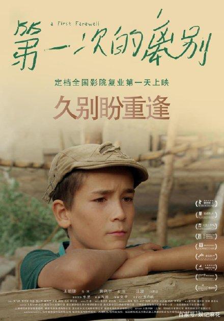 怎么买海地驾驶证